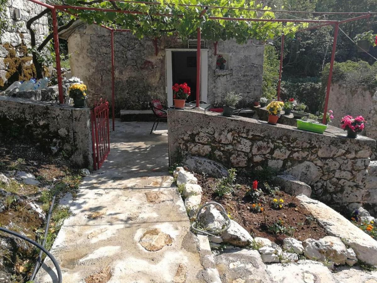Дома для отпуска Etno House Đurović Вирпазар