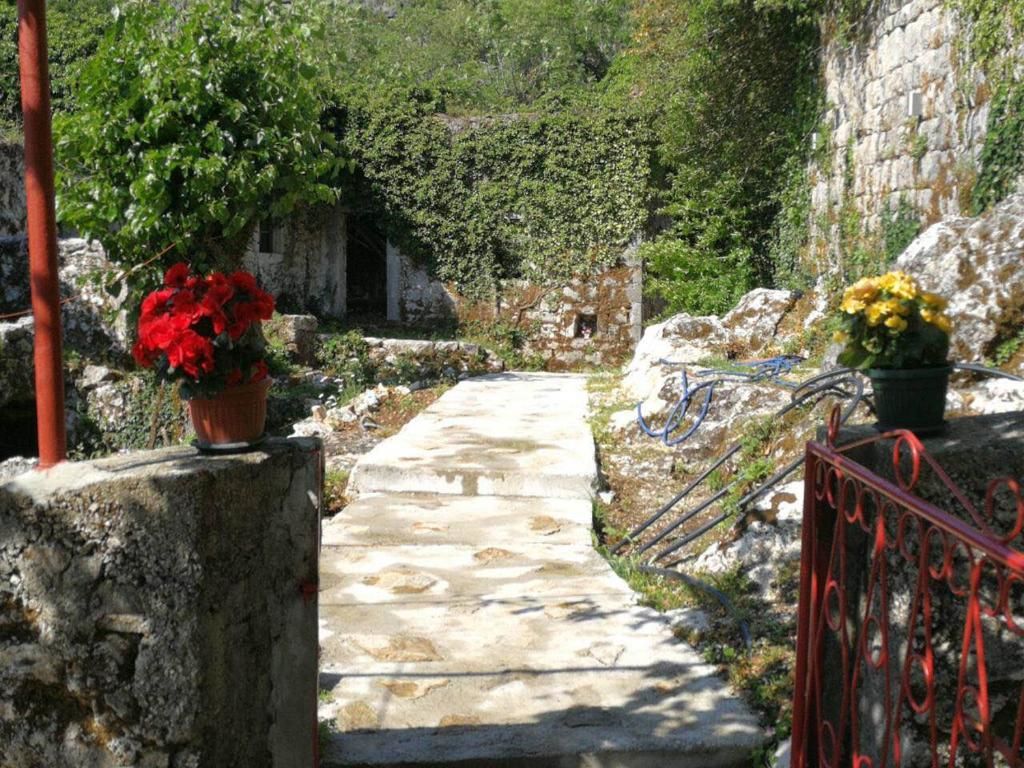 Дома для отпуска Etno House Đurović Вирпазар